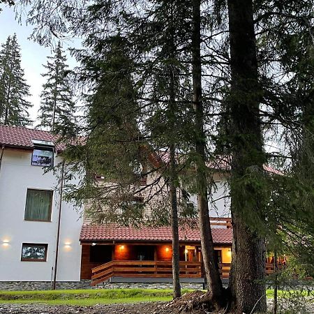 Sidharta Resort Obarsia-Lotrului Extérieur photo