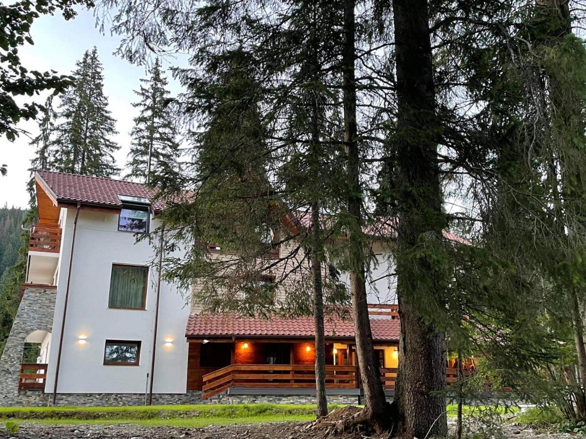 Sidharta Resort Obarsia-Lotrului Extérieur photo